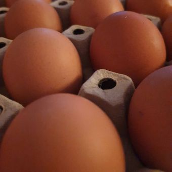 egg fra frittgående høner